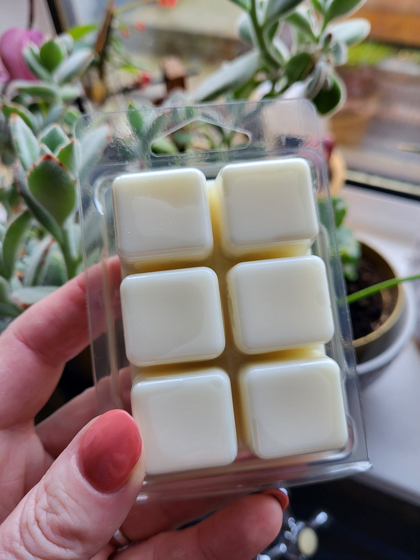 CHRISTMAS WAX MELT CLAMSHELLS